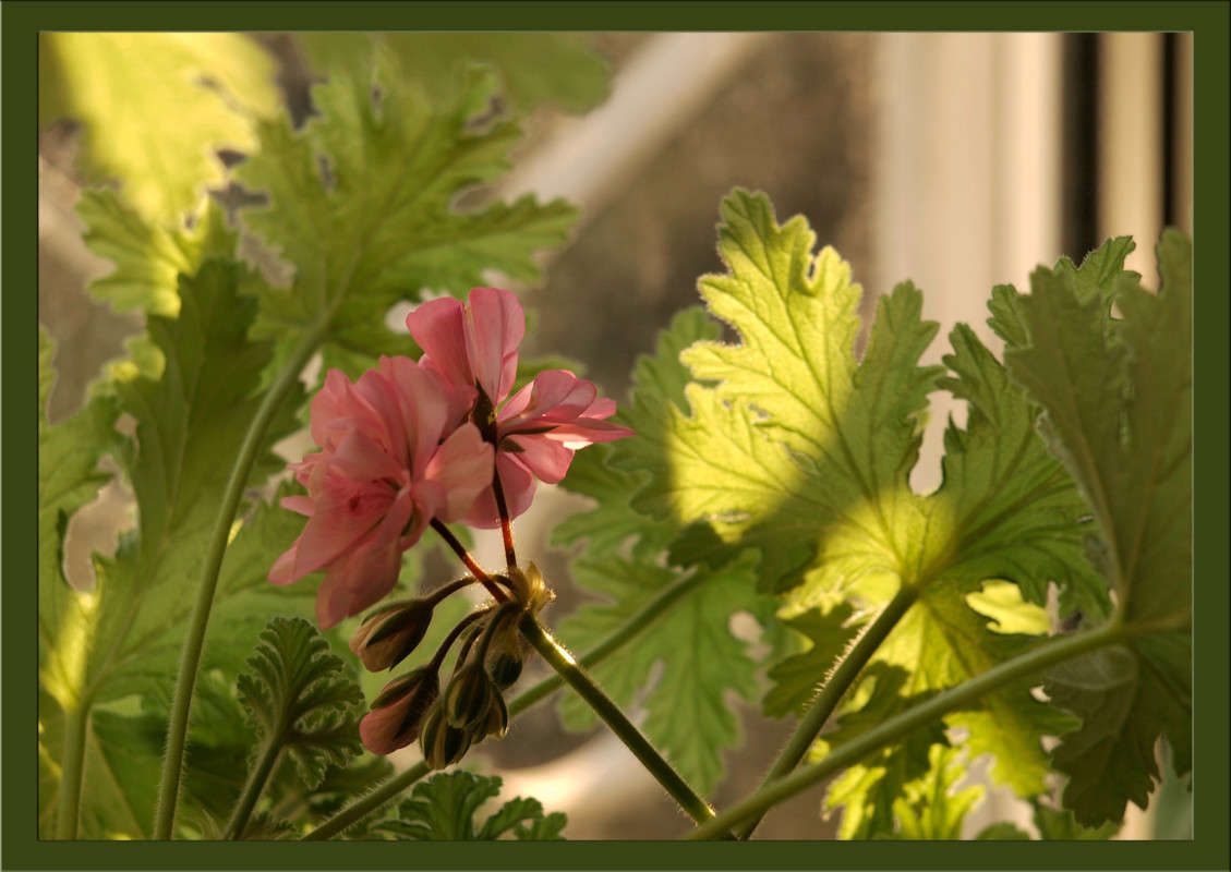 ������ �� ����������� ����� ������  �� PhotoGeek.ru #�����