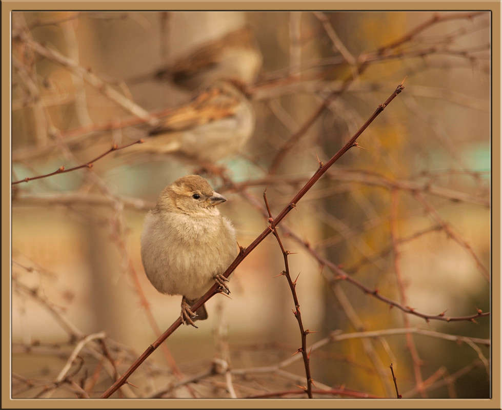�� ������� ����� ������  �� PhotoGeek.ru #�������� ���