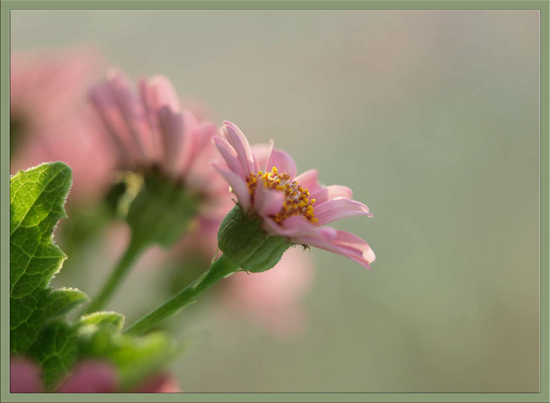 ��������� ����� ������  �� PhotoGeek.ru #�������� ����������