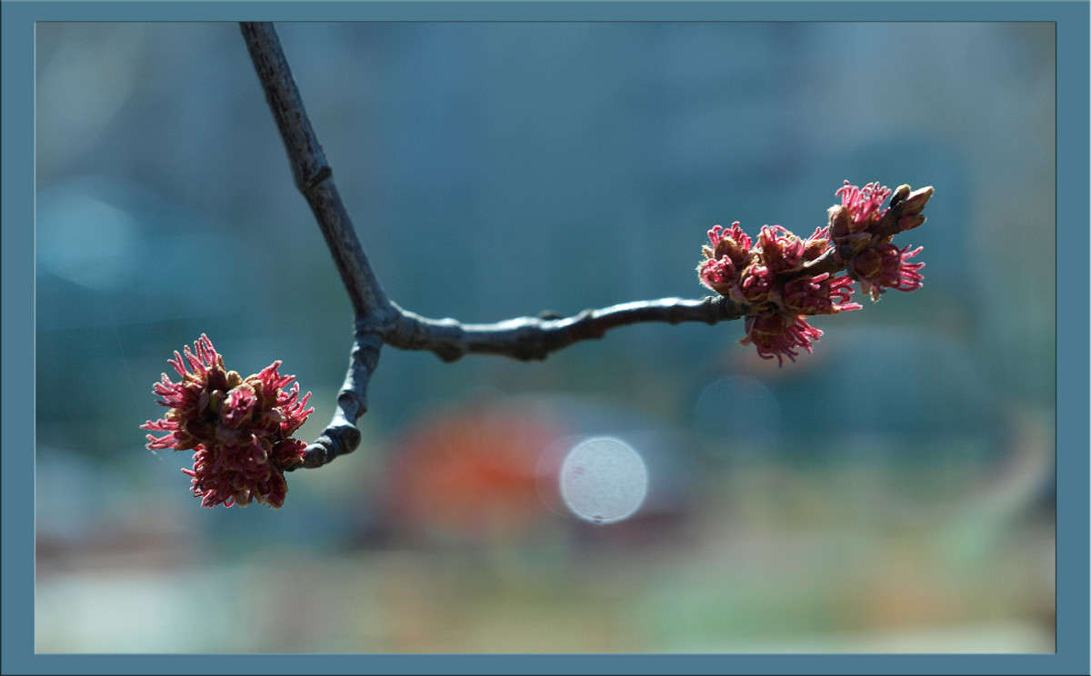 ������������ ����� ������  �� PhotoGeek.ru #������ ��� �������