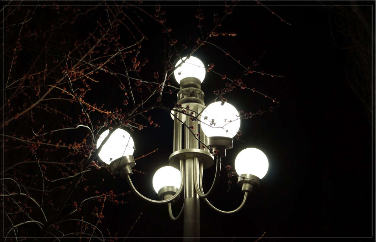 ���� � ������ ����� ������  �� PhotoGeek.ru #�������� ����������