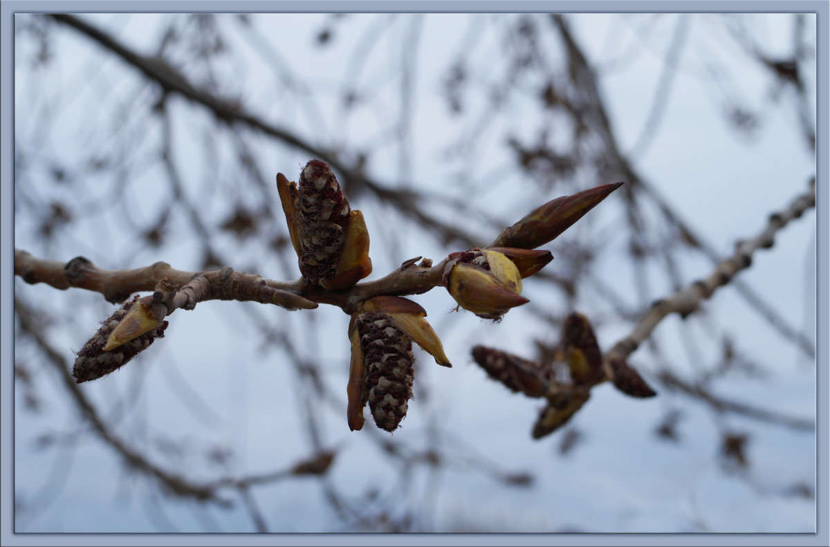 ����� �������� ����� ������  �� PhotoGeek.ru #������ ��� �������