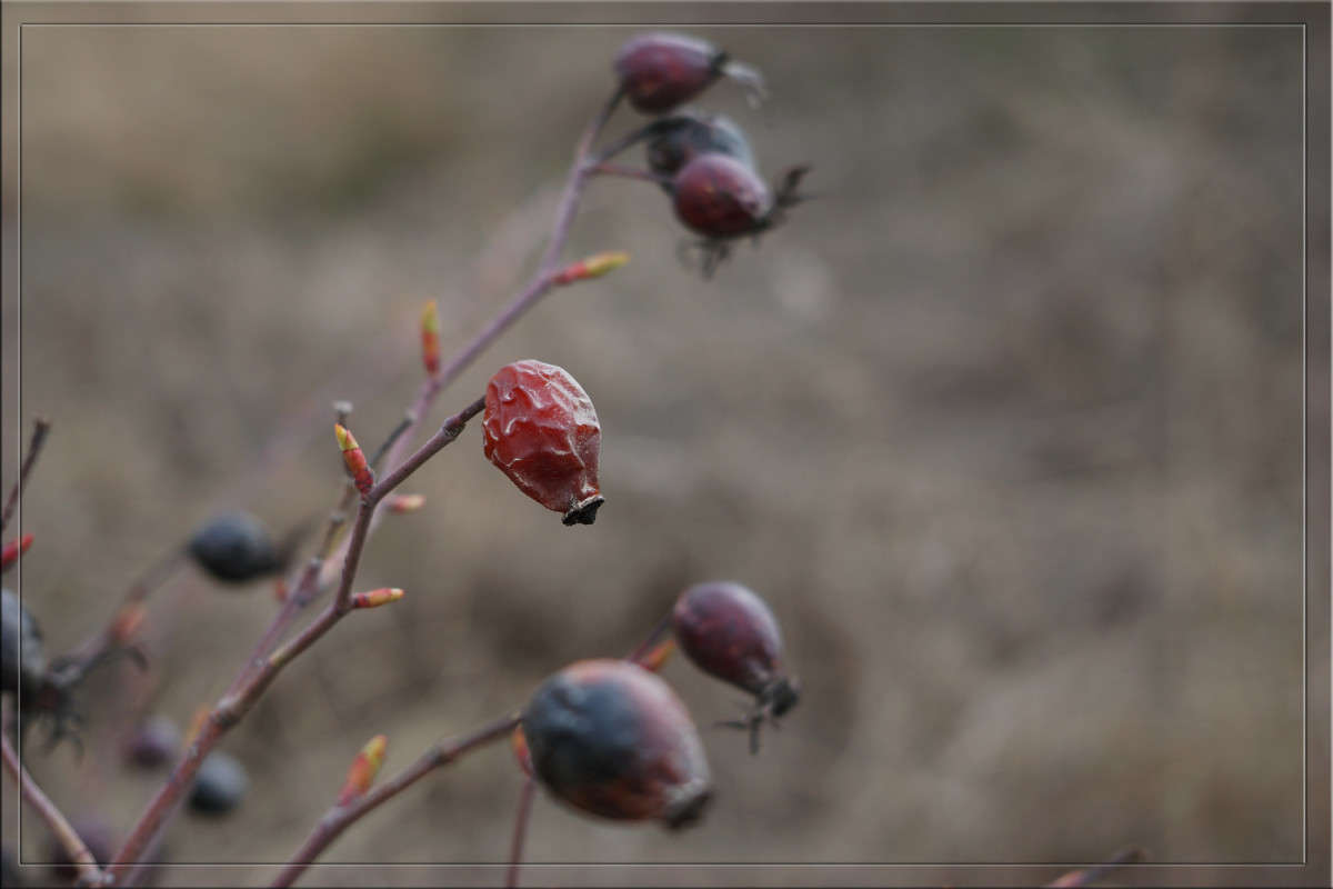 �������� ���������� ����� ������  �� PhotoGeek.ru #������ ��� �������