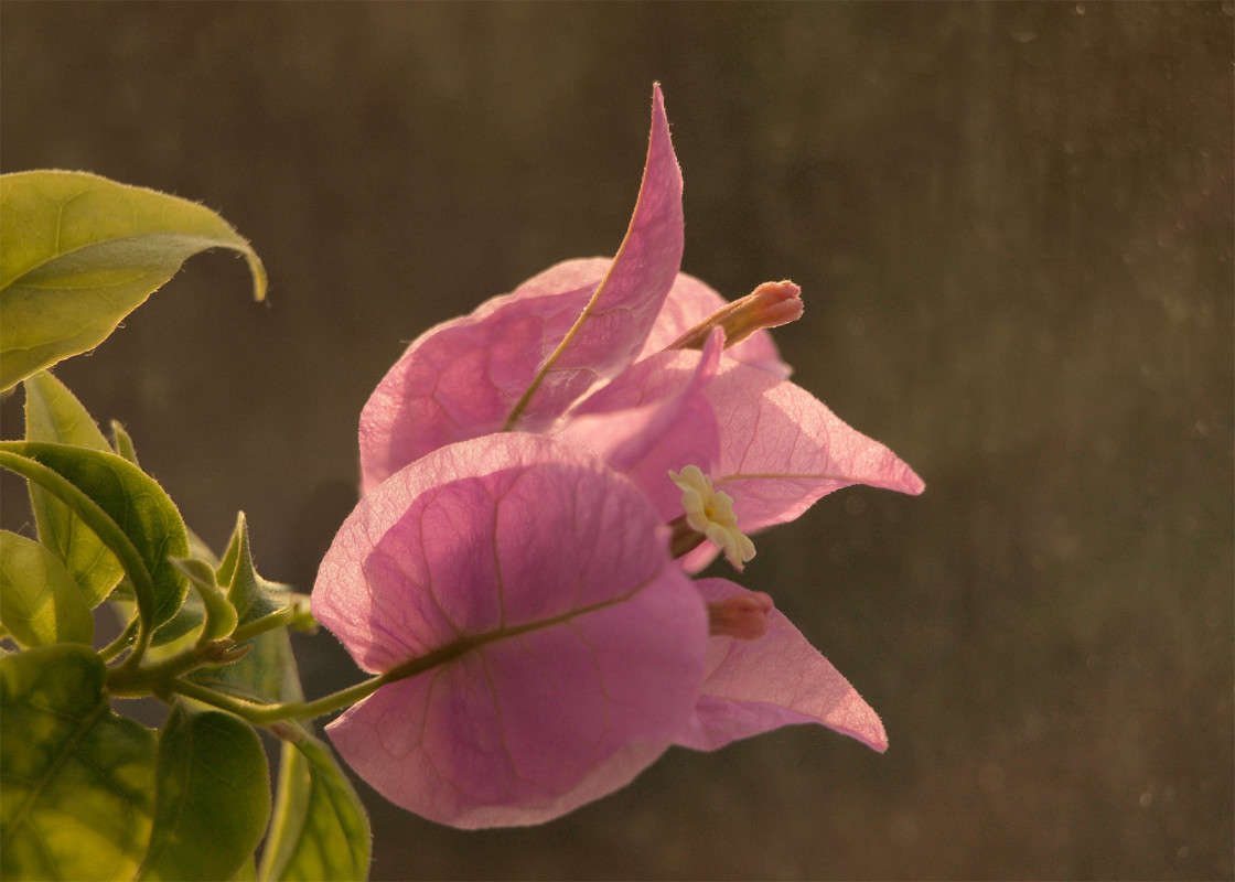 ��� �� ����� � ���� ����� ������  �� PhotoGeek.ru #������ ��� �������