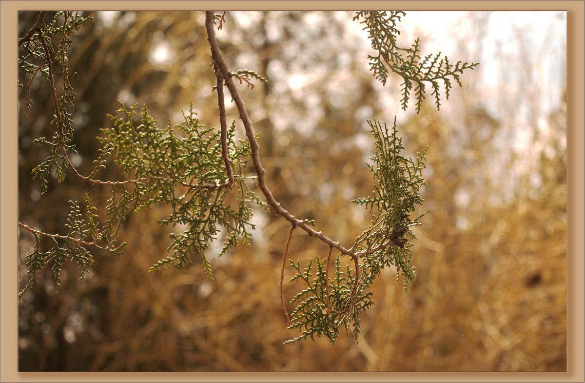 ���� ����������� ����� ������  �� PhotoGeek.ru