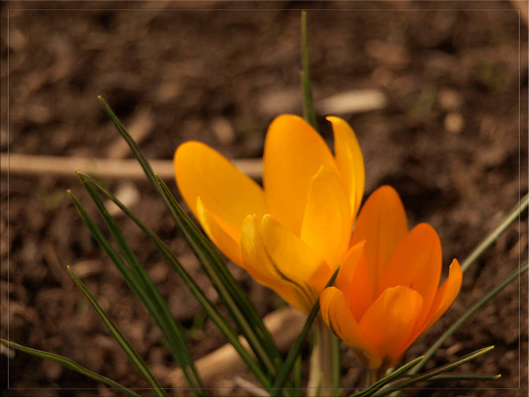 ������ ��� ������ �������� ����� ������  �� PhotoGeek.ru #������ ��� �������