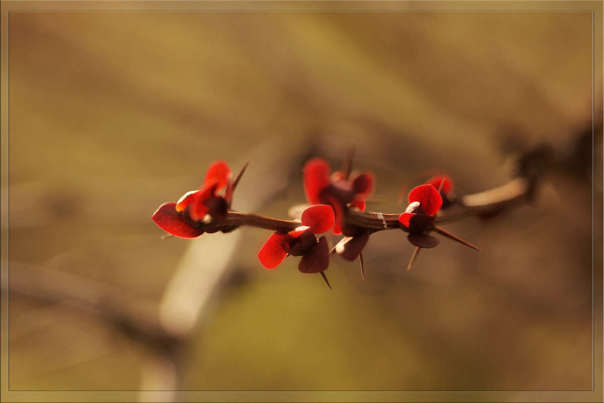 ���������� ����������� ����� ������  �� PhotoGeek.ru #������ ��� �������