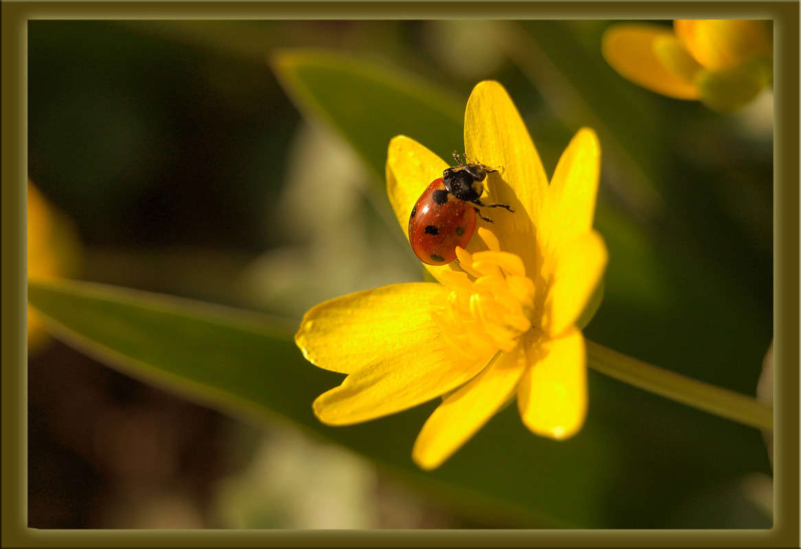 �� �������� ����� ������  �� PhotoGeek.ru #�����