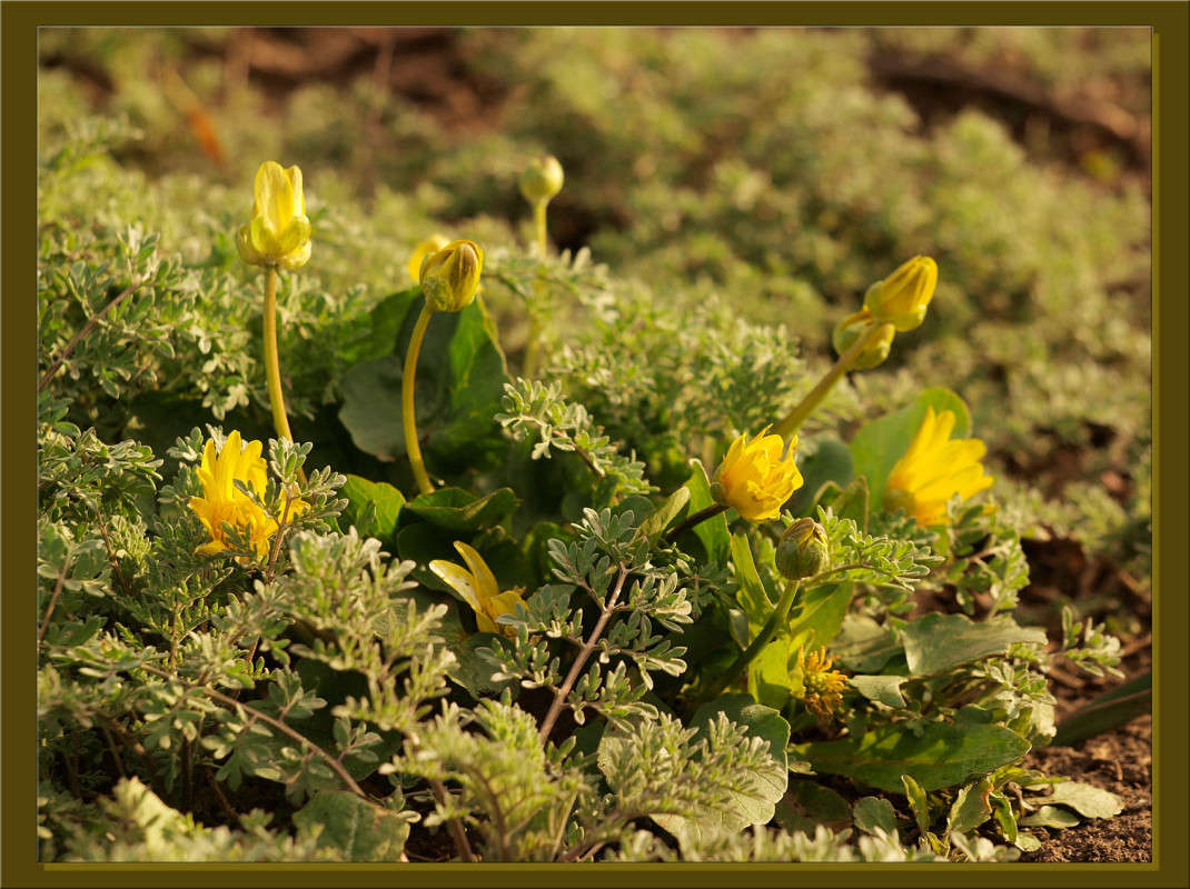 ������� �������� ����� ������  �� PhotoGeek.ru #������ ��� �������