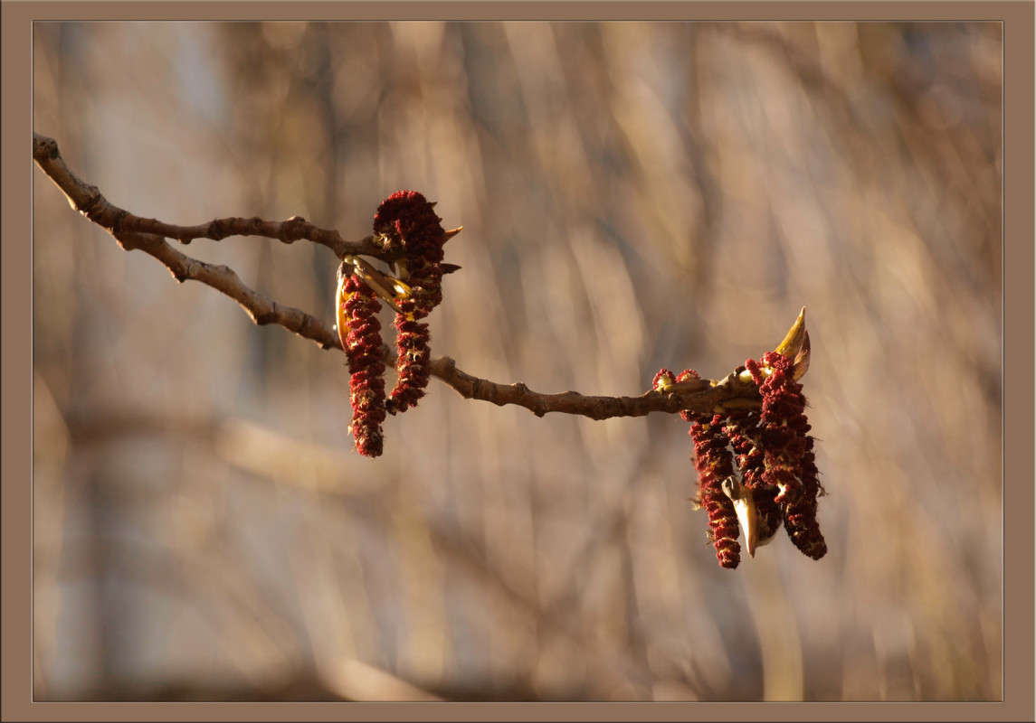 ����� 3 ����� ������  �� PhotoGeek.ru #������ ��� �������