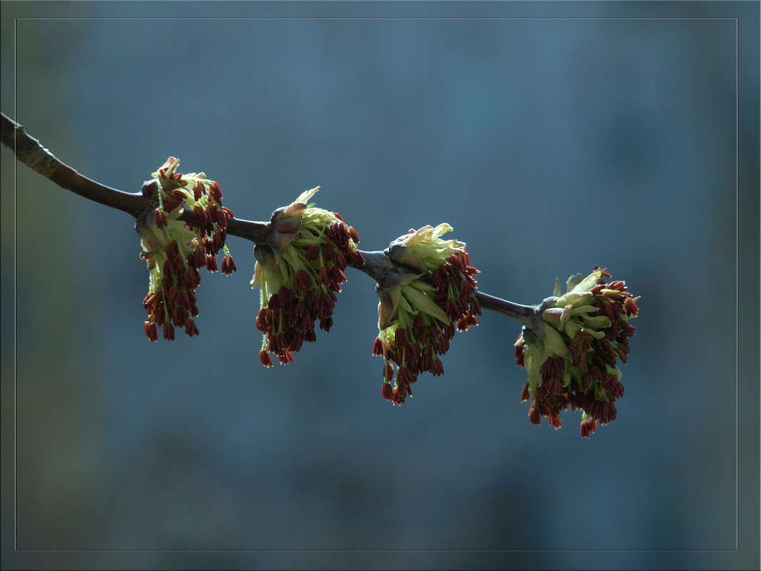 ����� 2 ����� ������  �� PhotoGeek.ru #������ ��� �������