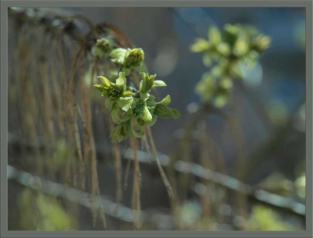 ����� ����� ������  �� PhotoGeek.ru #������ ��� �������