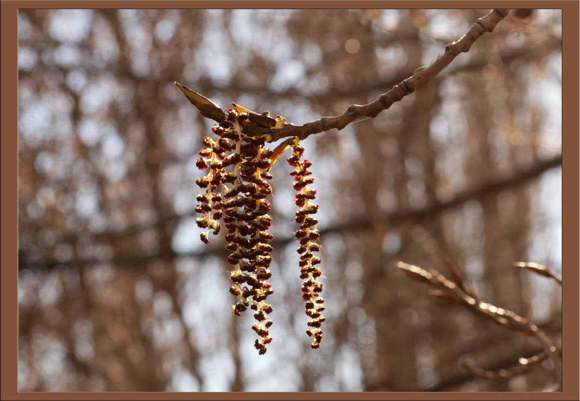 ����� 4 ����� ������  �� PhotoGeek.ru #������ ��� �������