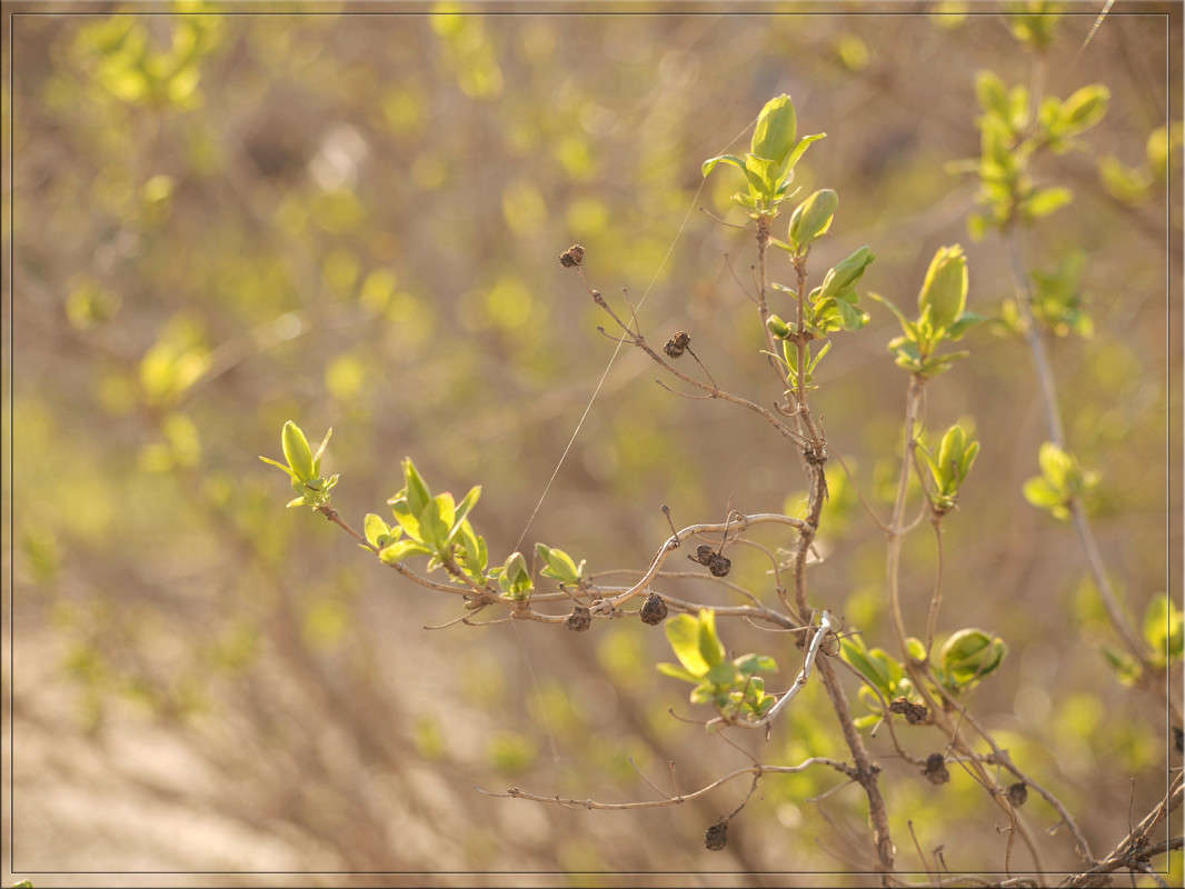 ����� 5 ����� ������  �� PhotoGeek.ru #������ ��� �������