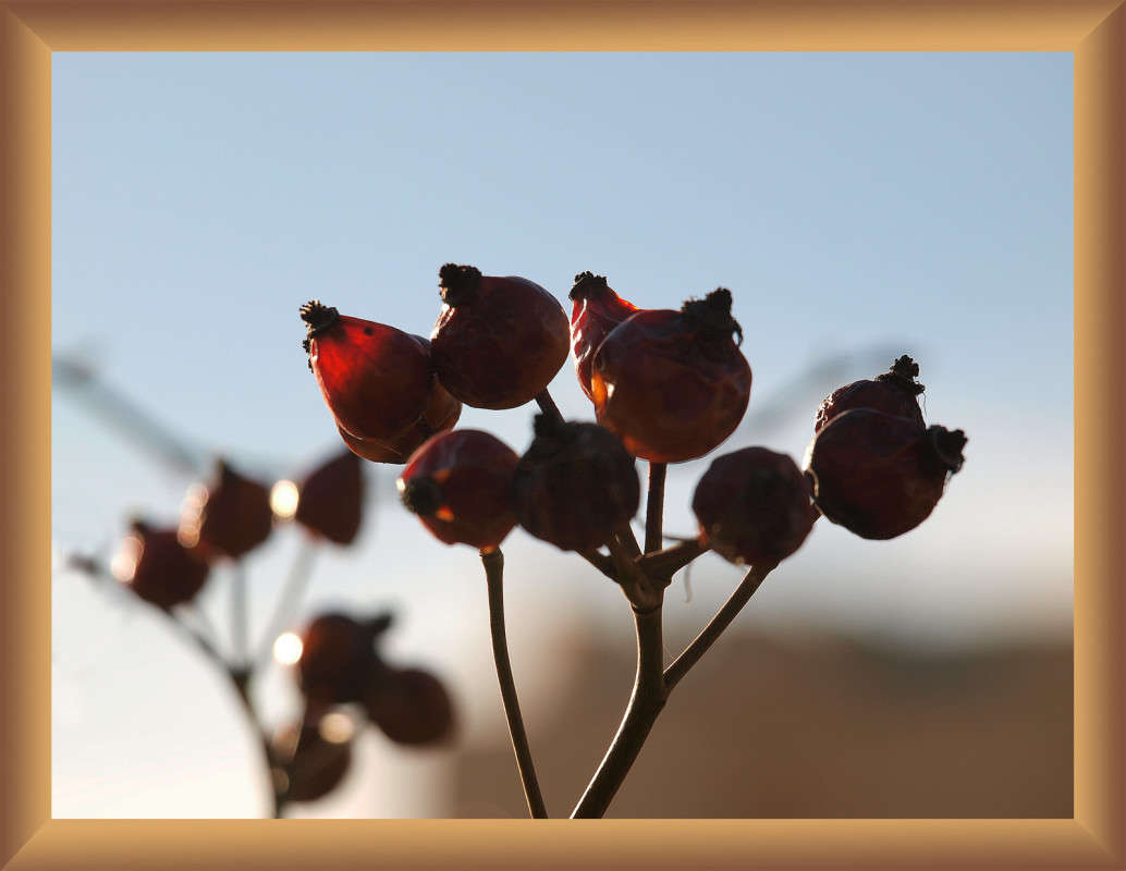 ����� 6 ����� ������  �� PhotoGeek.ru #������ ��� �������