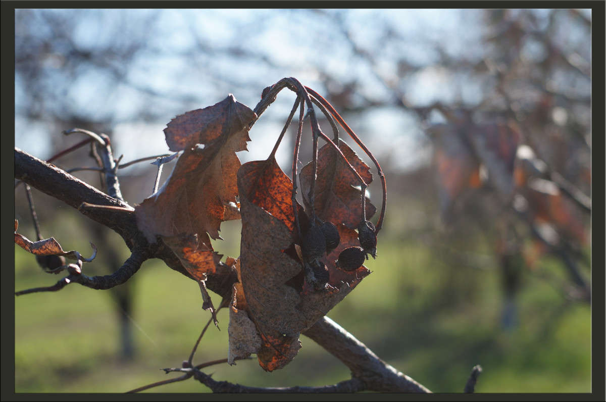 ����� 7 ����� ������  �� PhotoGeek.ru #������ ��� �������