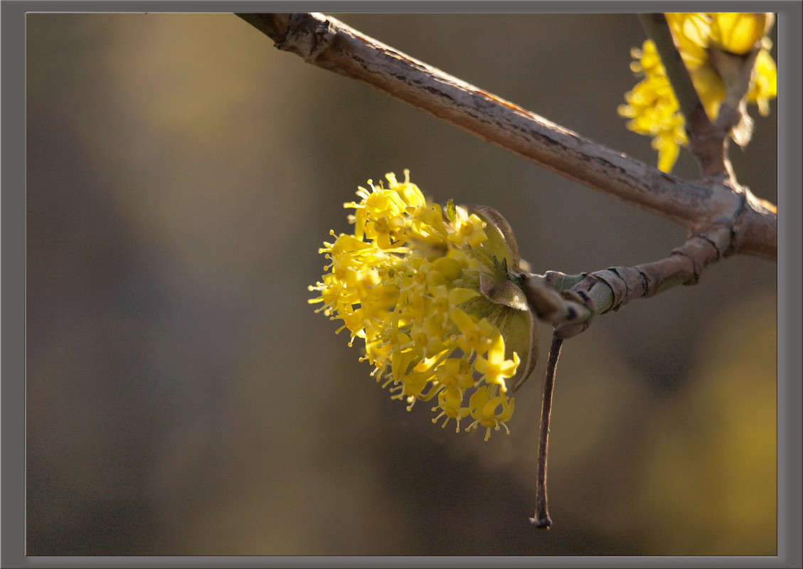 ����� 8 ����� ������  �� PhotoGeek.ru #������ ��� �������