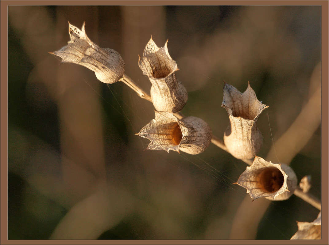 ����� 9 ����� ������  �� PhotoGeek.ru #������ ��� �������