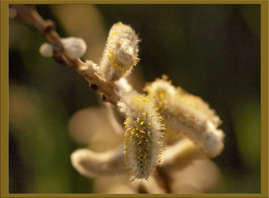 ����� 10 ����� ������  �� PhotoGeek.ru #������ ��� �������