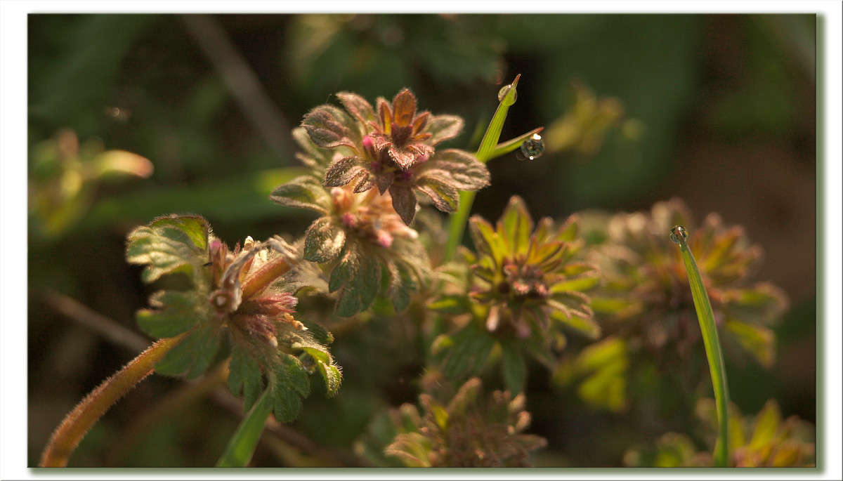 ����� 12 ����� ������  �� PhotoGeek.ru #������ ��� �������