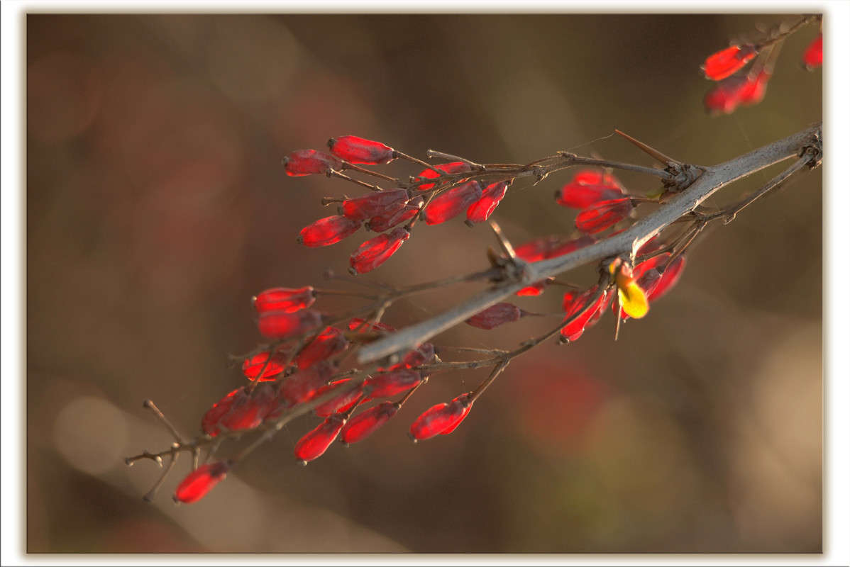 ����� 13 ����� ������  �� PhotoGeek.ru #������ ��� �������