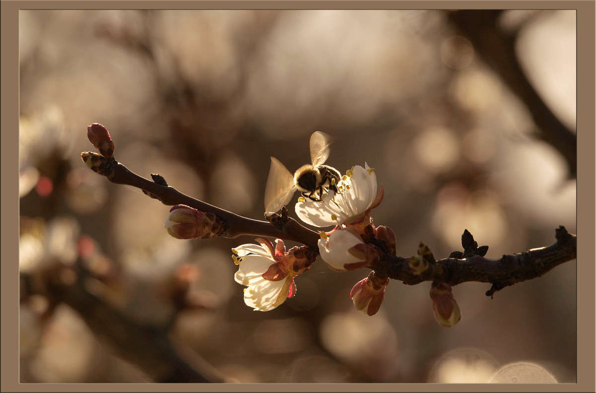 ������� �������� ����� ������  �� PhotoGeek.ru #������ ��� �������