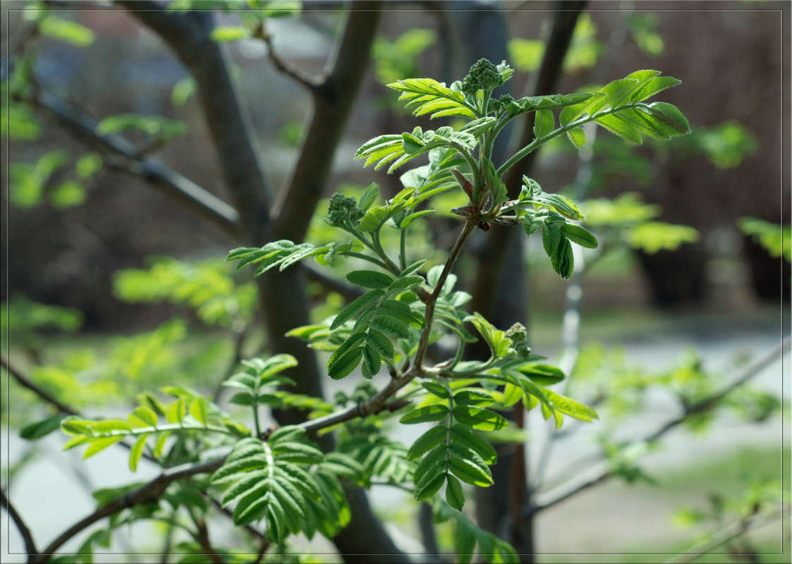 �������� ����� ������  �� PhotoGeek.ru #������ ��� �������