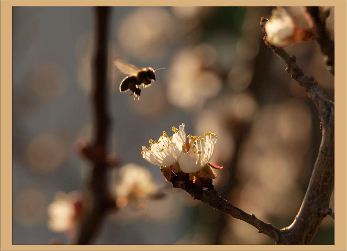 ����� �� ������� ����� ������  �� PhotoGeek.ru #������ ��� �������