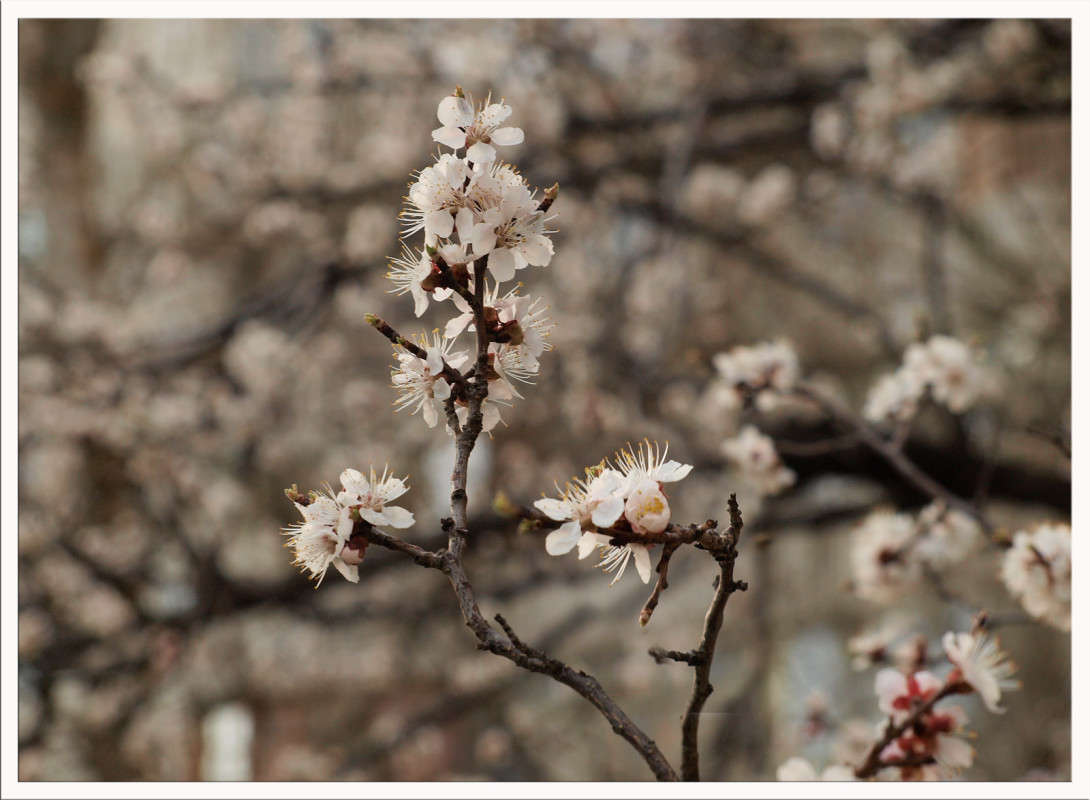 ����� � ������ �� ������ ����� ������  �� PhotoGeek.ru #������ ��� �������