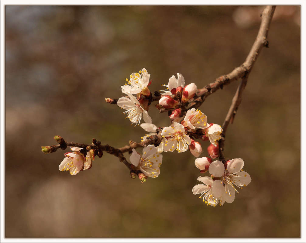 ���� � ������ ����� ������  �� PhotoGeek.ru #������ ��� �������