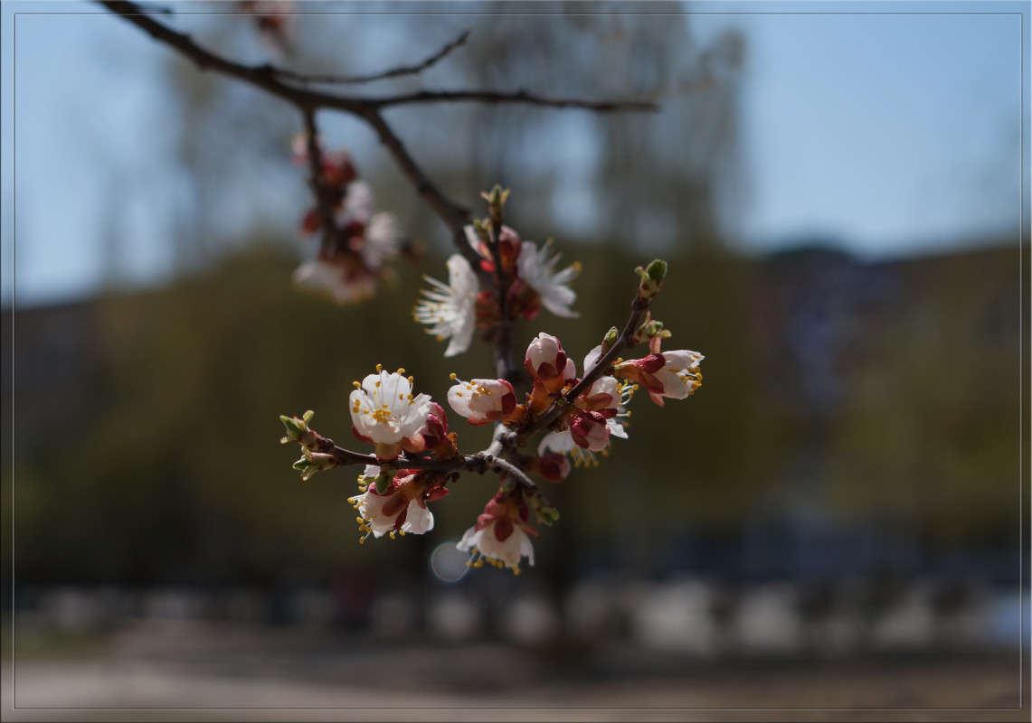 ����� 14 ����� ������  �� PhotoGeek.ru #������ ��� �������