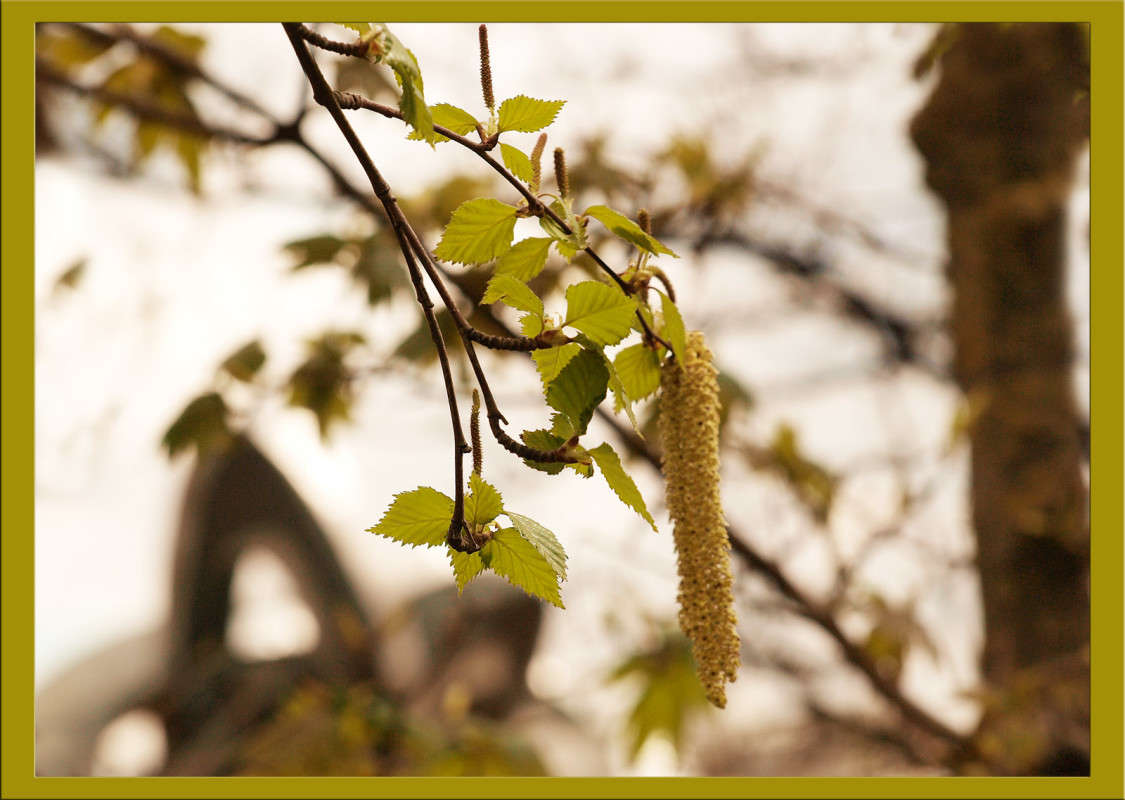 ������� � �������� ����� ������  �� PhotoGeek.ru #������ ��� �������