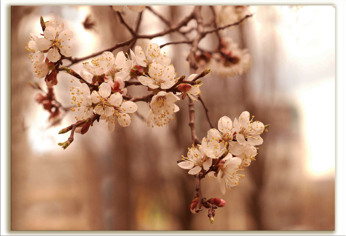 ����� 15 ����� ������  �� PhotoGeek.ru #������ ��� �������