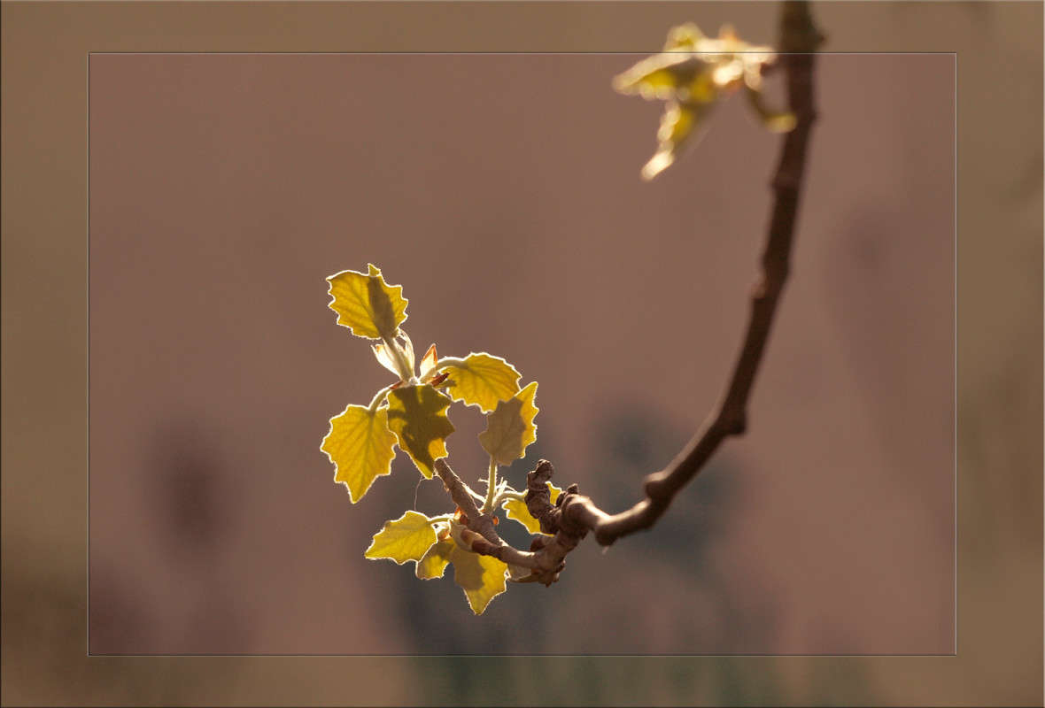 ������ �������� 2 ����� ������  �� PhotoGeek.ru #������ ��� �������