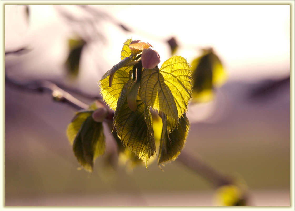 ������ �������� ����� ������  �� PhotoGeek.ru #������ ��� �������