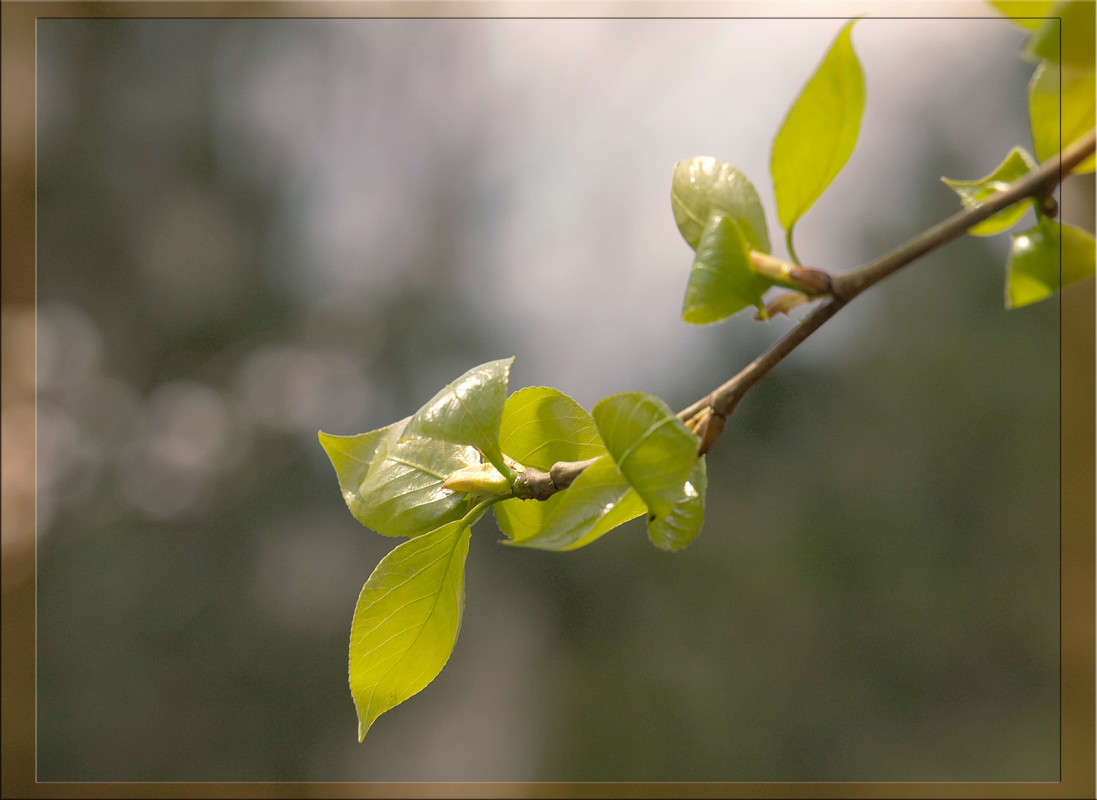 ������ �������� 3 ����� ������  �� PhotoGeek.ru #������ ��� �������