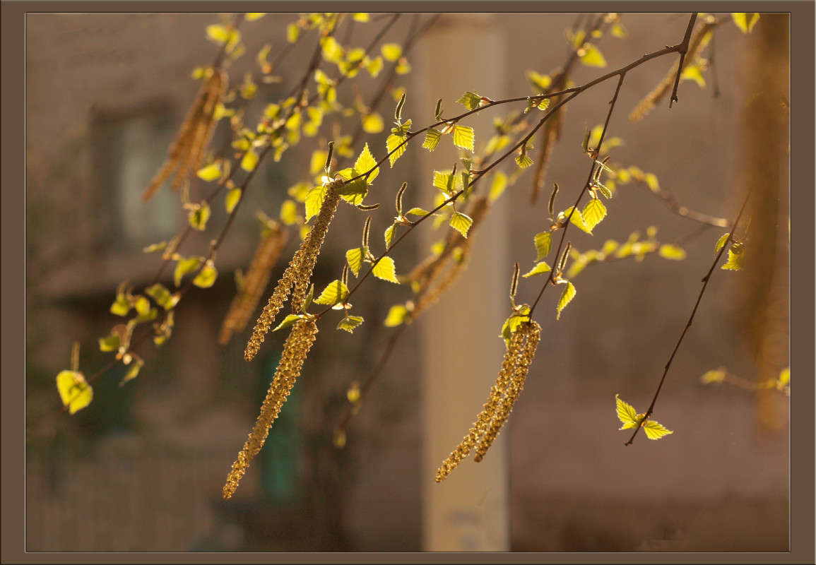 ������� �� ������ ������� ����� ������  �� PhotoGeek.ru #������ ��� �������