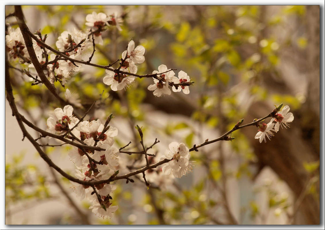 �������� � �������� ����� ������  �� PhotoGeek.ru #������ ��� �������