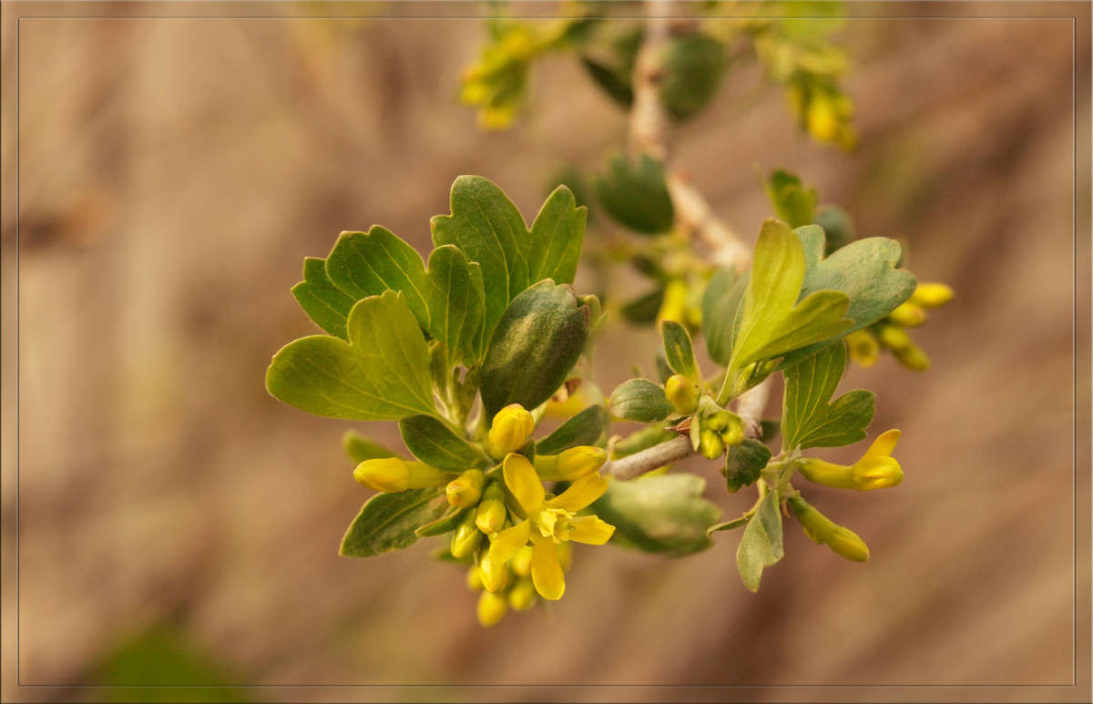 �������� � �������� 2 ����� ������  �� PhotoGeek.ru #������ ��� �������