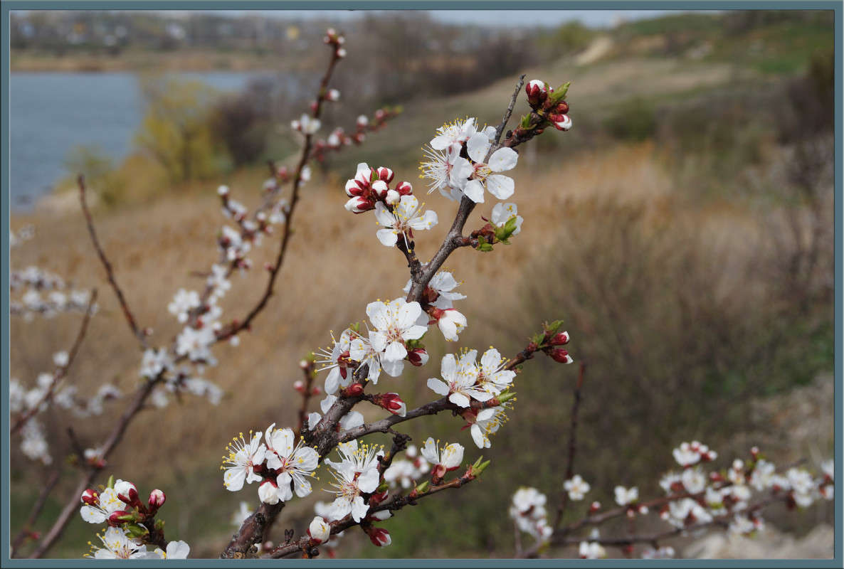 �� ����� ����-����������� ����� ������  �� PhotoGeek.ru #������ ��� �������