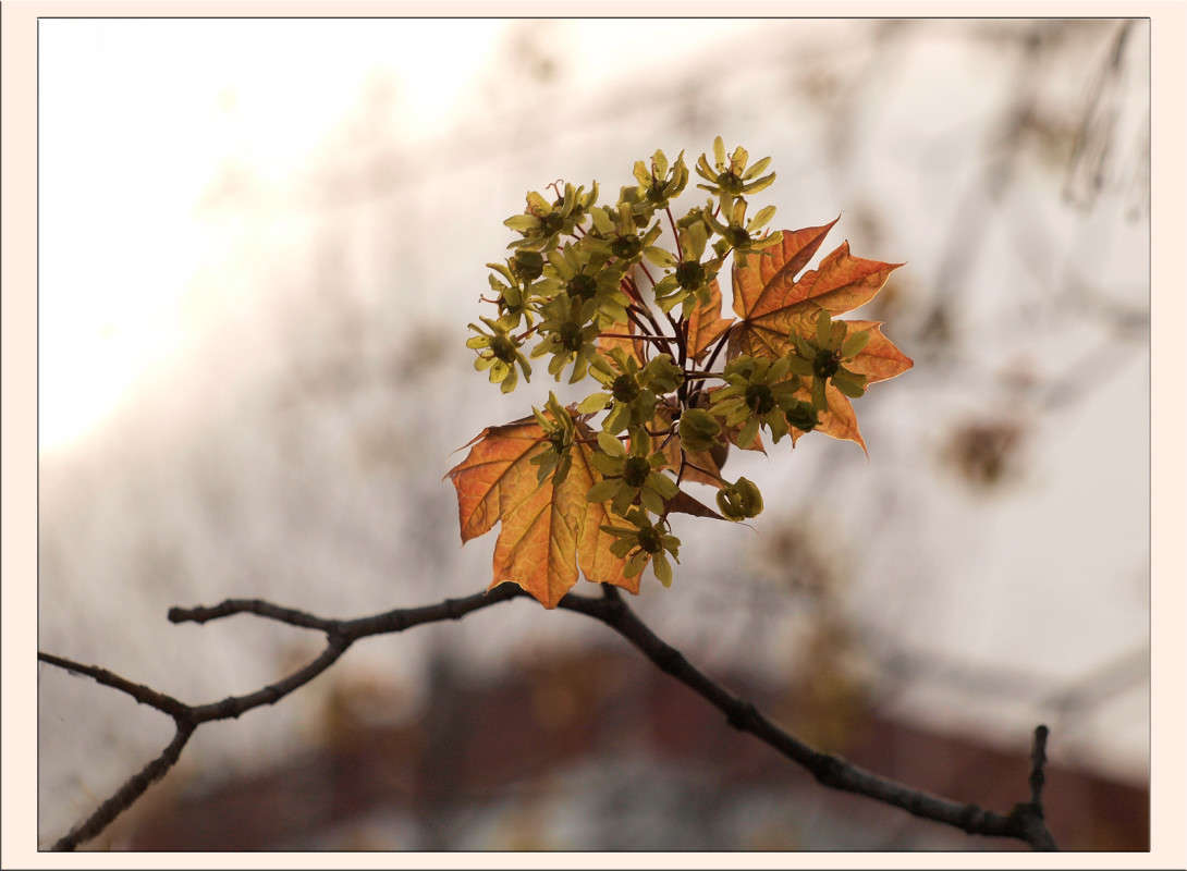 �������� � �������� 3 ����� ������  �� PhotoGeek.ru #������ ��� �������