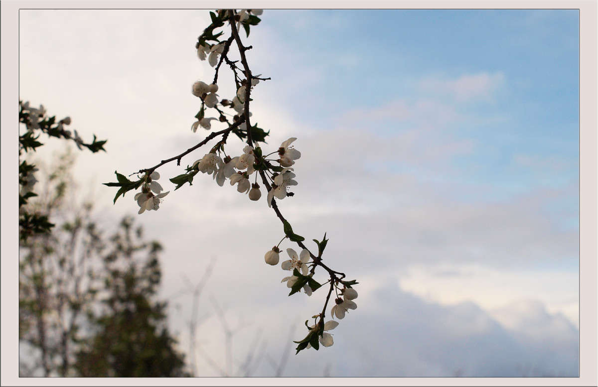 �������� � �������� 4 ����� ������  �� PhotoGeek.ru #������ ��� �������