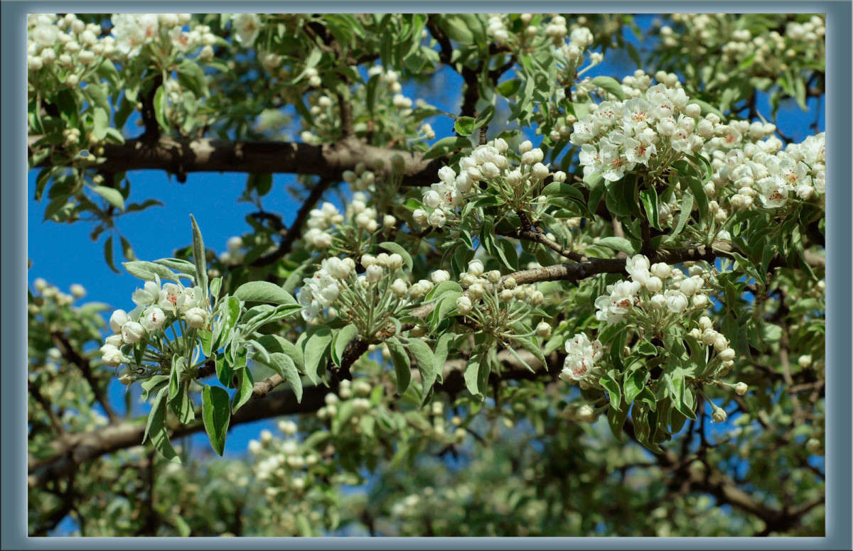 ������ � ����� ����� ������  �� PhotoGeek.ru #������ ��� �������