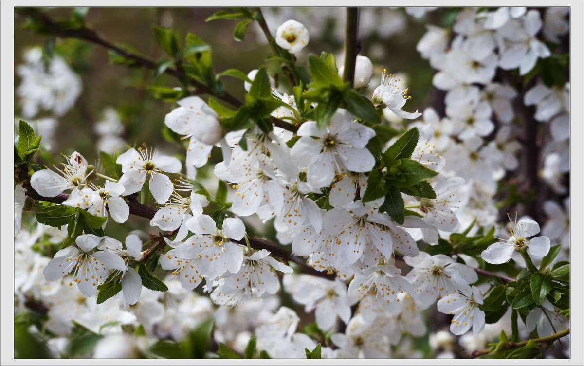 ����� ������ ����� ������  �� PhotoGeek.ru #������ ��� �������