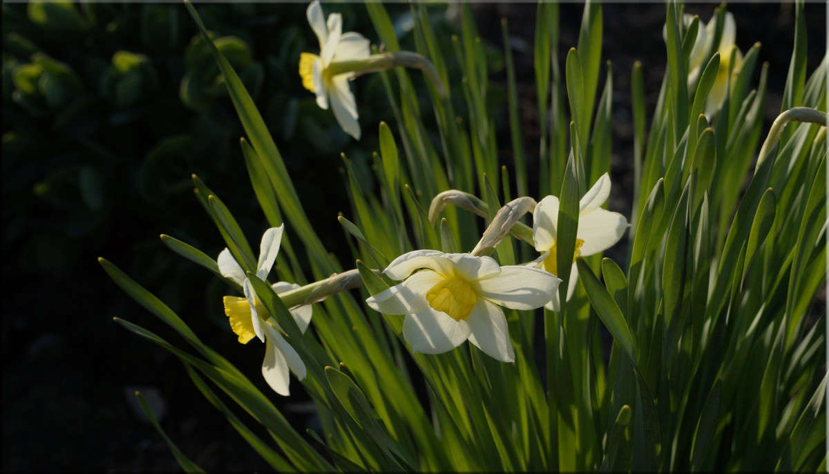 ������ ���� ��������� ����� ������  �� PhotoGeek.ru #������ ��� �������