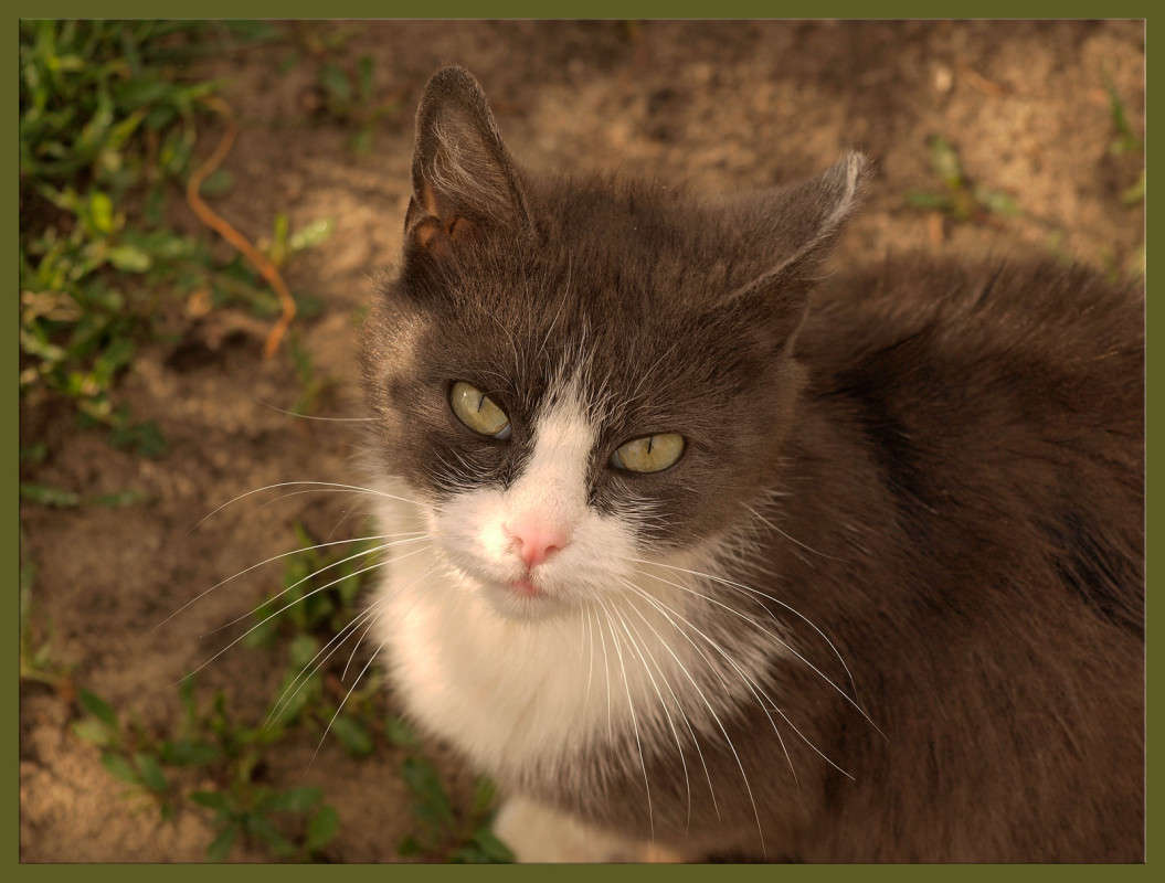 �������� ����� ����� ������  �� PhotoGeek.ru #�������� ���