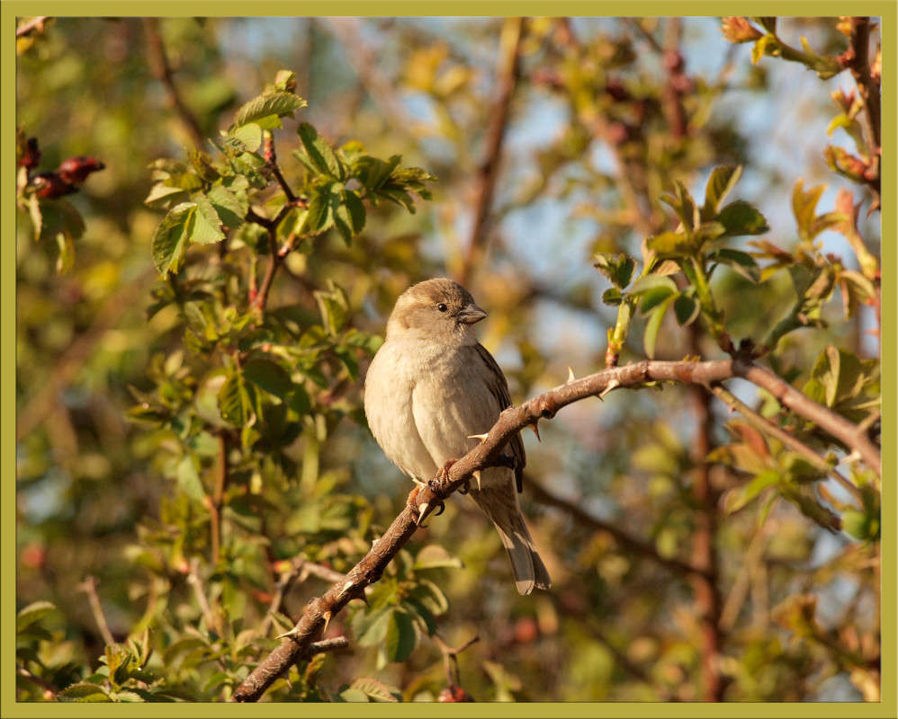 �������� ��������� ����� ������  �� PhotoGeek.ru #�������� ���