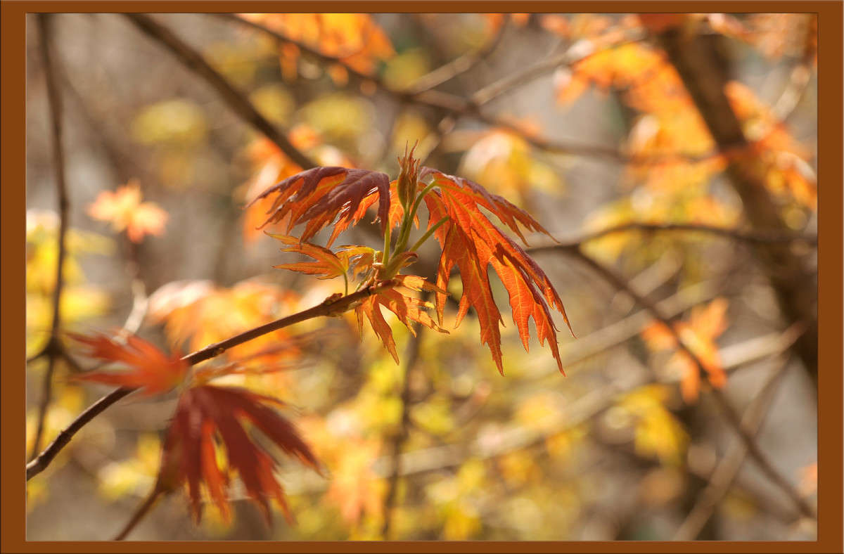 �������� ���� (�������) ����� ������  �� PhotoGeek.ru #������ ��� �������