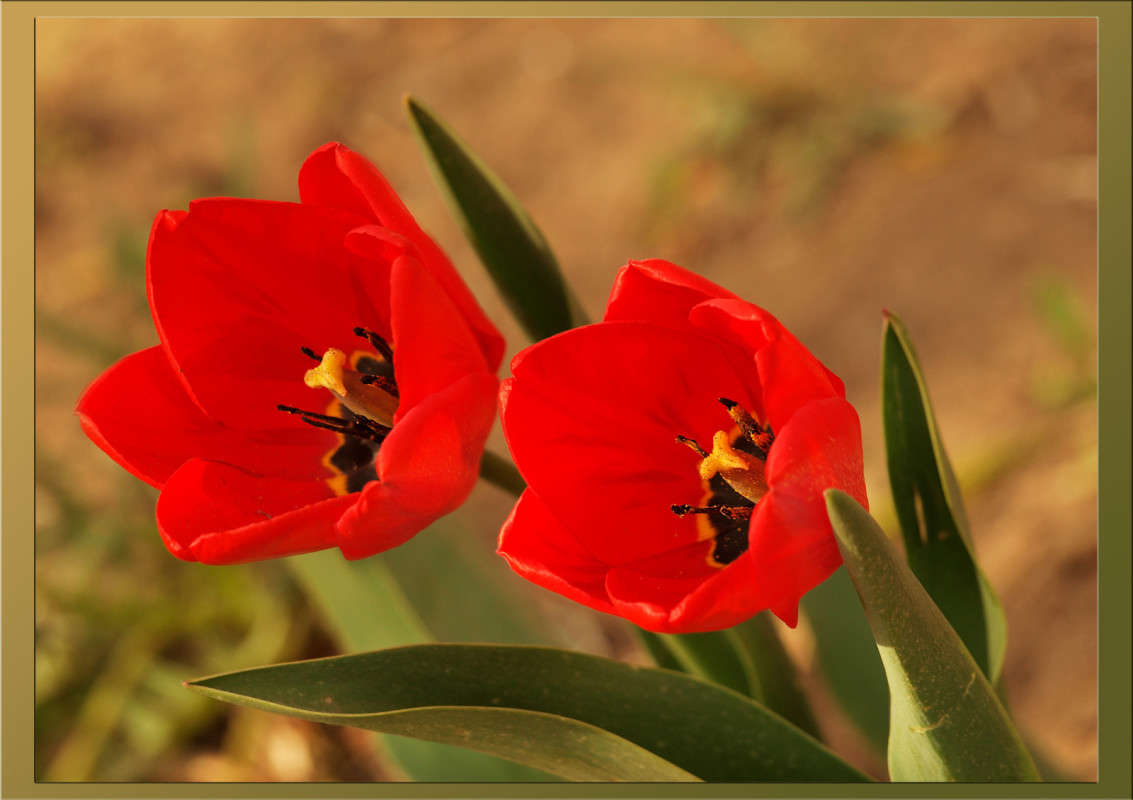 ������ ����� ����� ������  �� PhotoGeek.ru #������ ��� �������