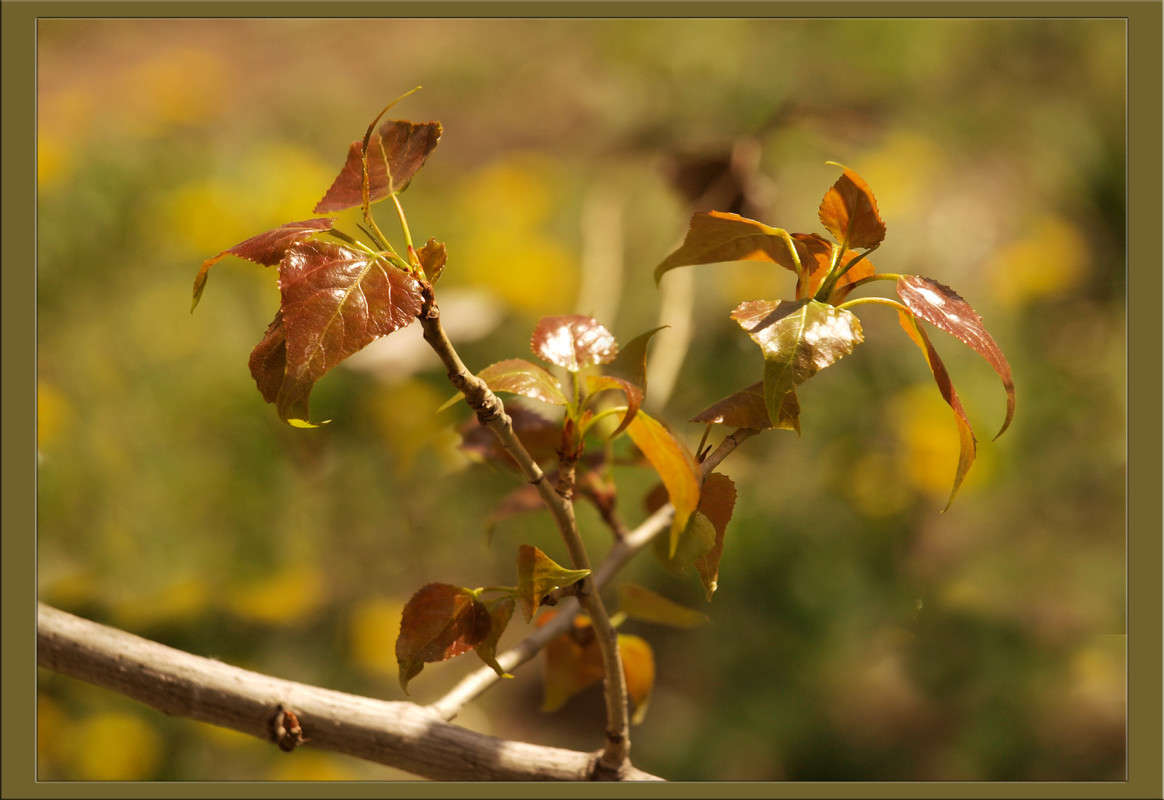 �������� ���������� 2 ����� ������  �� PhotoGeek.ru #������ ��� �������